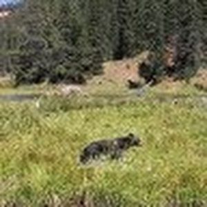 Meet your Posher, Kevin